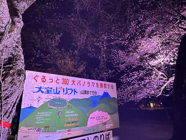 靜岡東部最美的櫻花都在這兒（3月下旬到4月上旬）