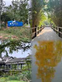 成都 白鹭灣濕地公園 ｜美如油畫宛如大自然的調色盤