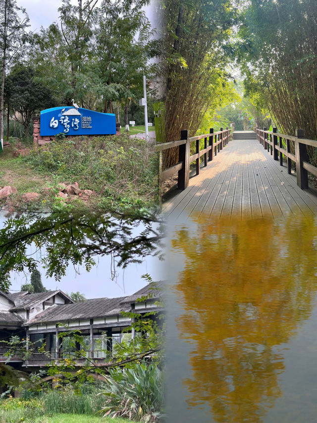 成都 白鹭灣濕地公園 ｜美如油畫宛如大自然的調色盤