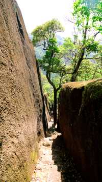 園山景區｜妙覺寺塔林鵝公髻