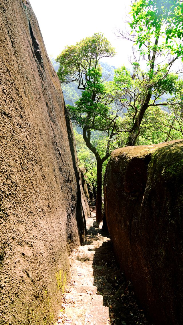 園山景區｜妙覺寺塔林鵝公髻