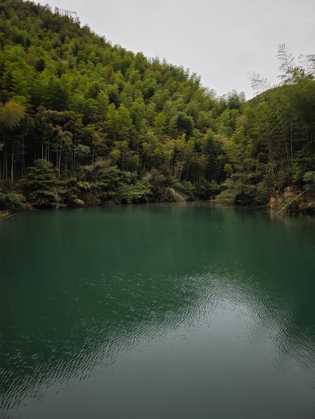 秋日，來莫干山徒步吧