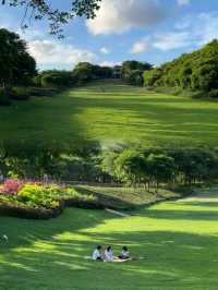 我宣布這是深圳公園天花板