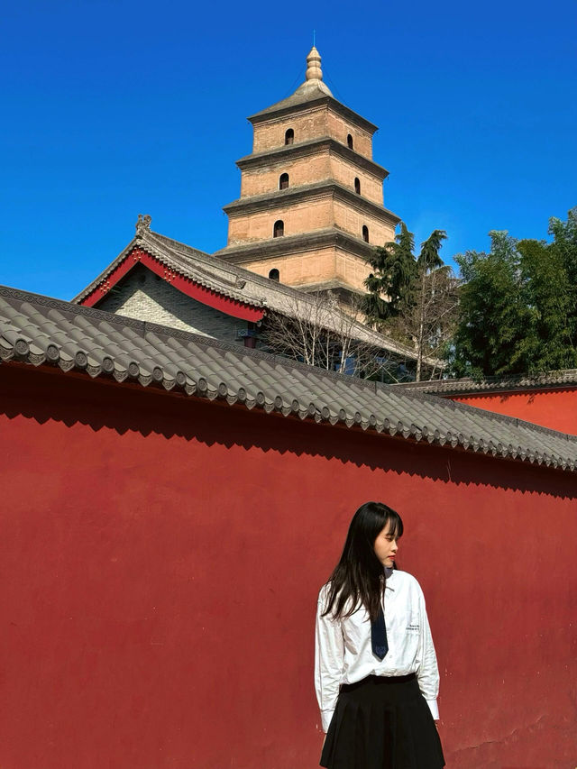 特種兵旅行西安華山四日遊