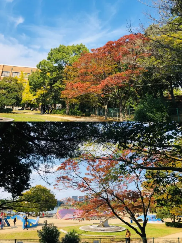 A must-visit park in Fukuoka City! Maizuru Park
