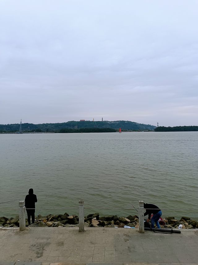 廣州最佳營地 | 海鷗島圍爐煮茶釣魚賞花