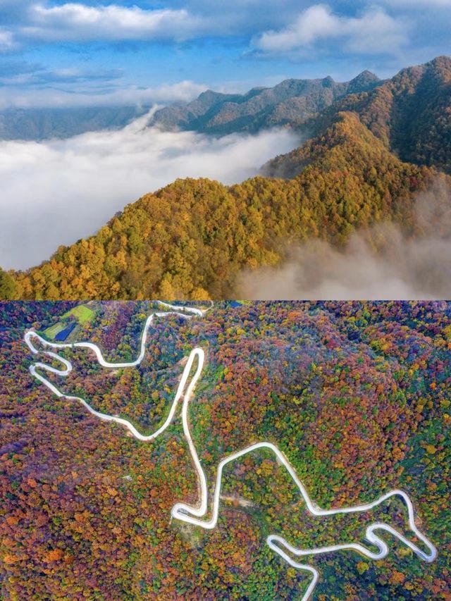 紅葉盛宴=漢中留壩
