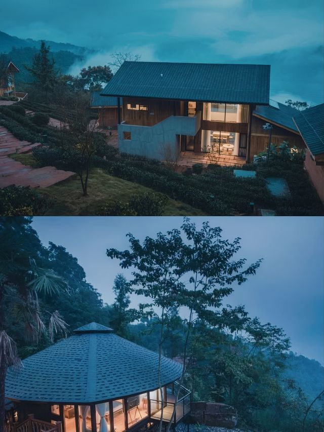 在樹屋裡發呆看雲海！樂山這家神仙民宿太絕