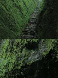 武夷山白雲禪寺，追一場雲海日出！