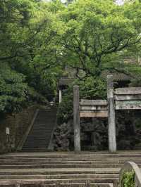 不捲杭州了，虎丘後山也是綠野仙蹤和茶園蘇州