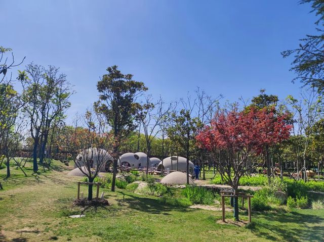 華泾公園