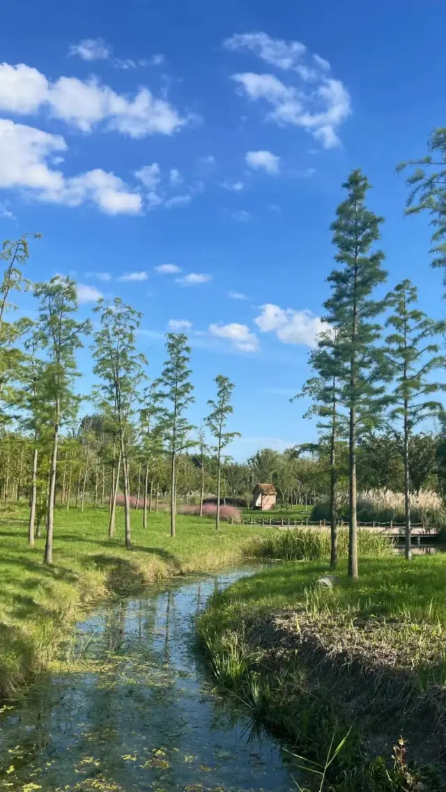 Heading Out for Summer | An Underrated "Qintong Water Town"