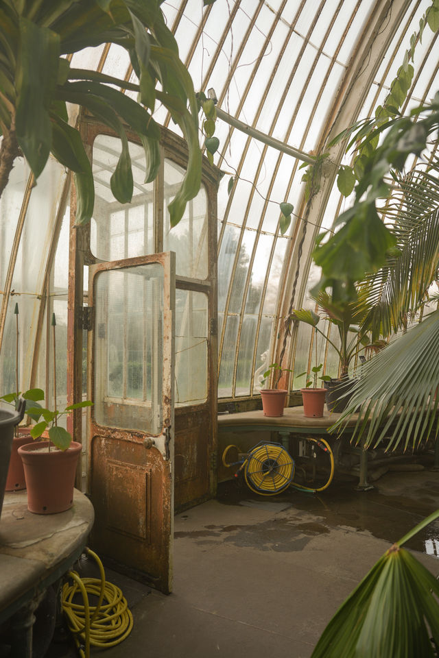 英國皇家植物園Kew Garden 邱園 溫室裡照進一束光