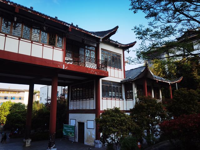貴州百里杜鵑-大方縣一日遊