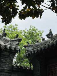 南陽“新莽造幣廠”：或揭王莽新政“一角”