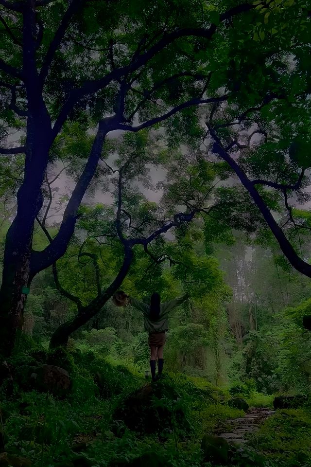 今天又被綠野仙踪治癒了|廣州少有的秘境魔幻森林