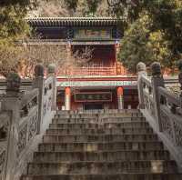 山西最值得去看的古建遺跡之【玄中寺】