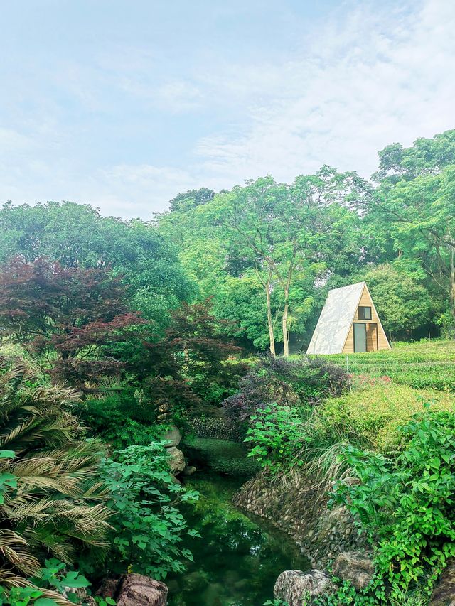 義烏瘋狗露營基地，名字奇特，風景秀麗