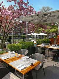 🌟 Amsterdam's Chic Sleeps: Hotel Okura's Luxe Experience 🌟