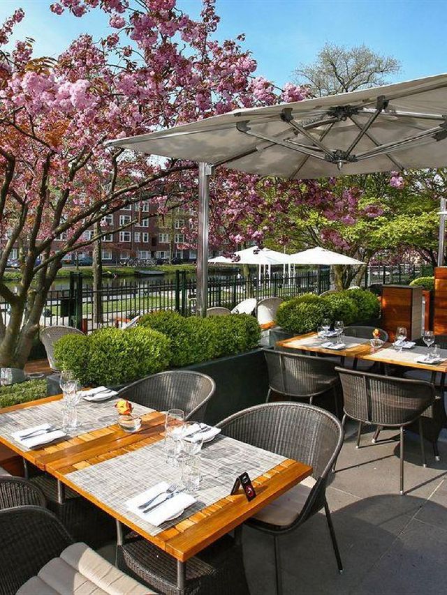 🌟 Amsterdam's Chic Sleeps: Hotel Okura's Luxe Experience 🌟