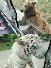 酒店自帶動物園、遊樂園、野炊受得了嗎？