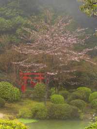 雲霧繚繞的別府