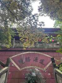 成都仙家重地！見到這隻鶴才算真正去過成都鶴鳴山