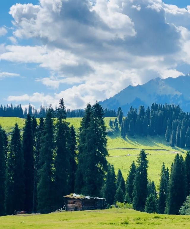 新疆| 海蒂和爷爷的同款小木屋