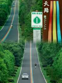 江浙滬小眾自駕線路溧陽1號公路美哭了趕緊收藏