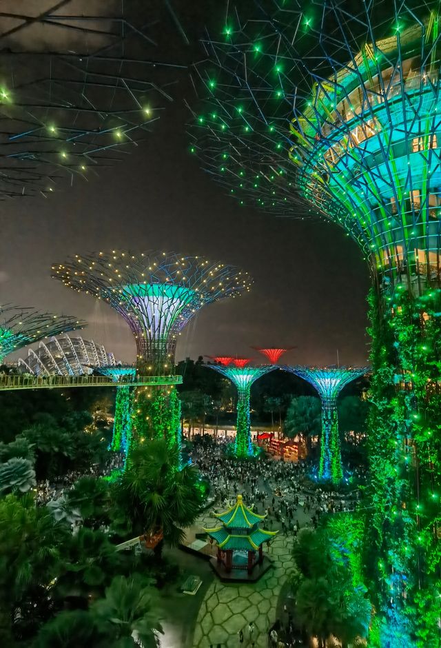 新加坡超級樹