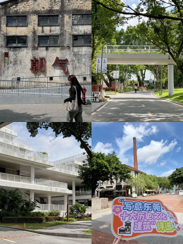 東莞莞城萬江小眾遊玩路線