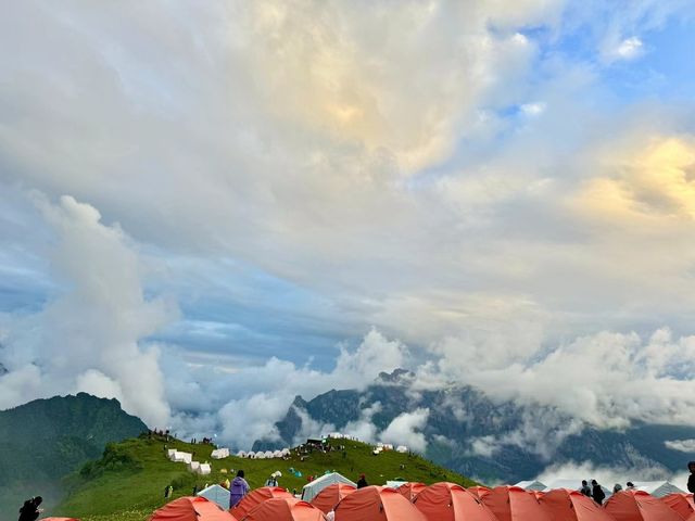 這波九頂山賺麻了