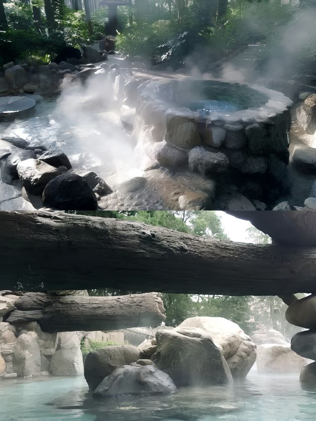 泡湯好去處～金方森林溫泉