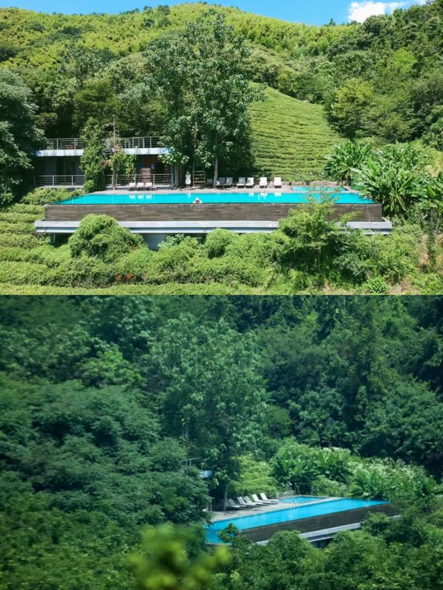 江浙滬周邊180度無邊泳池懸崖樹屋