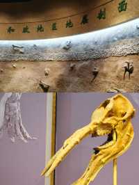 小縣城裡的國家二級博物館