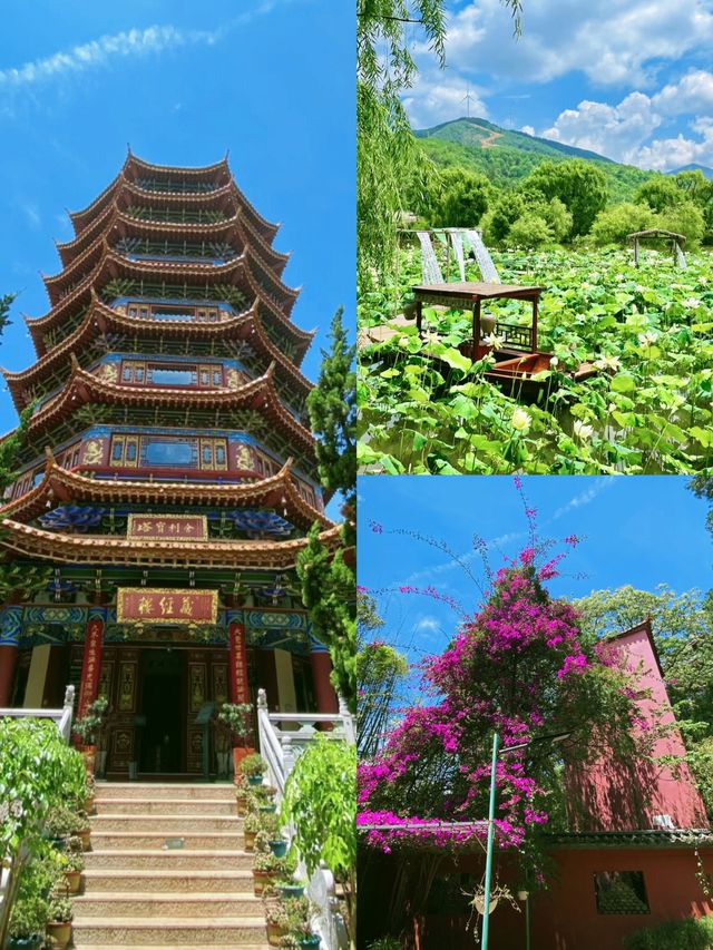 龍年打卡安寧龍山
