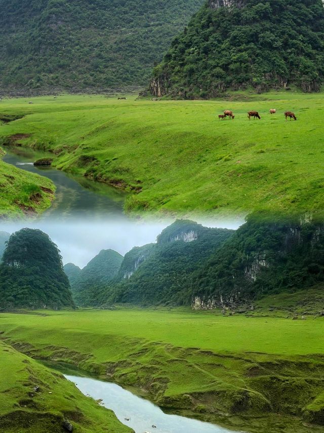 大自然給的鬆弛感 大自然給的鬆弛感