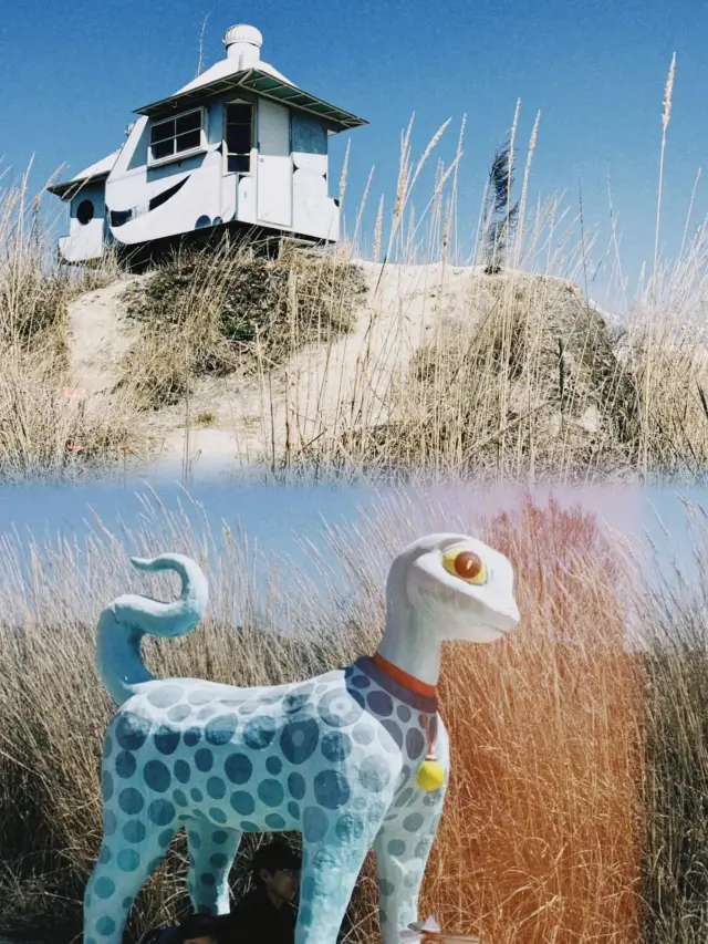 Lijiang's Hidden Fairy Tale Park: Exploring the Wilderness Kingdom