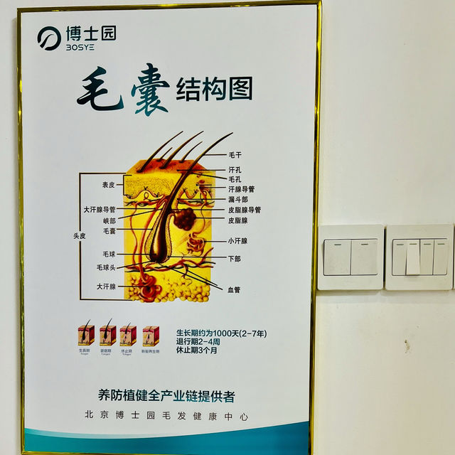 體驗深圳博士園頭療，真不錯哦！！