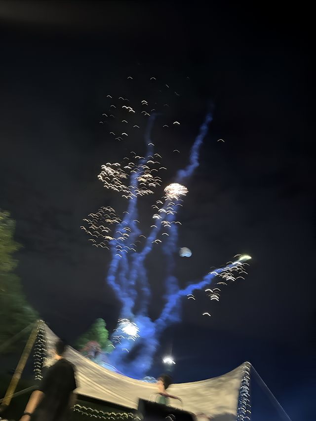 安吉野奢露營基地｜星空谷營地