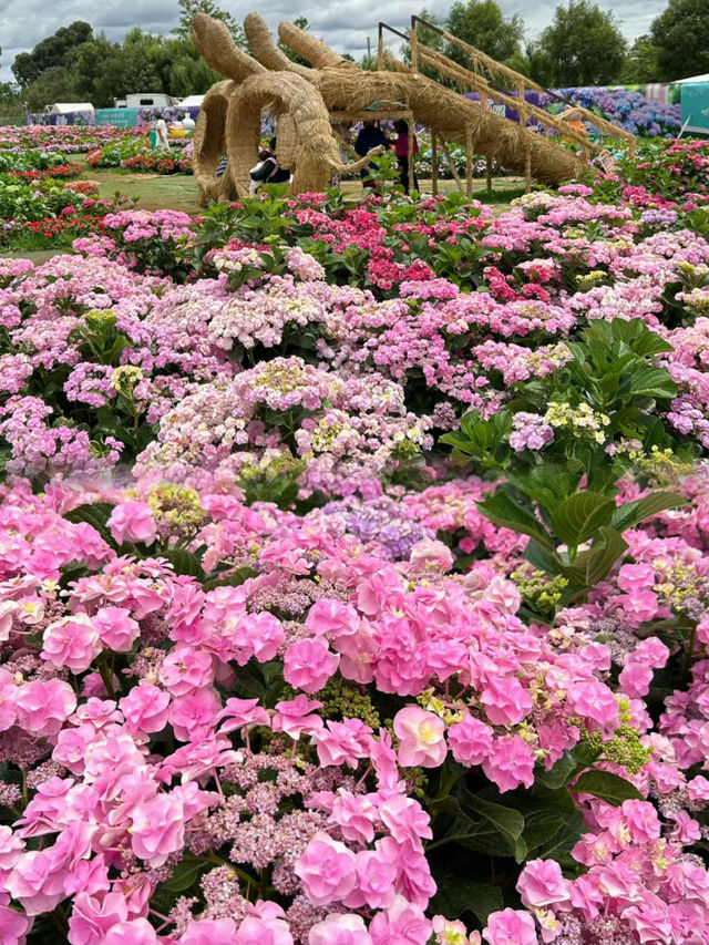 享受湖風拂面，遠眺西山睡美人的秀美輪廓，就在海埂公園