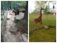 法國聖艾尼昂博瓦爾動物園