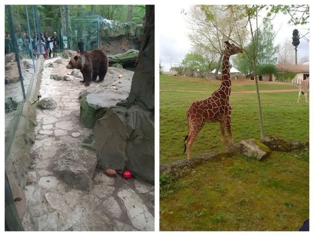 法國聖艾尼昂博瓦爾動物園