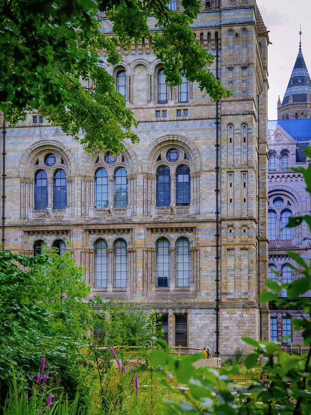 London Natural History Museum full of history 🇬🇧