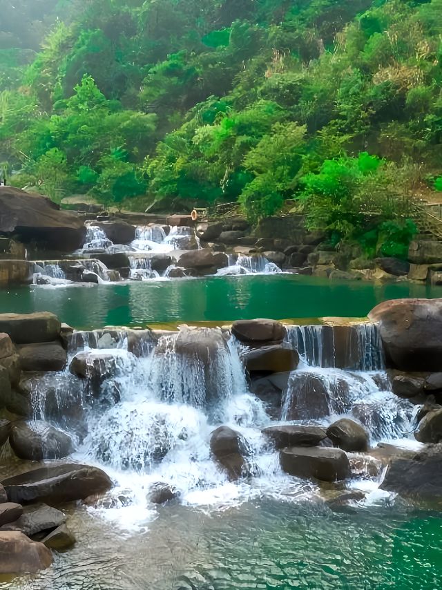 衢州新寵：芳草地雲端秘境，避暑養生兩相宜！