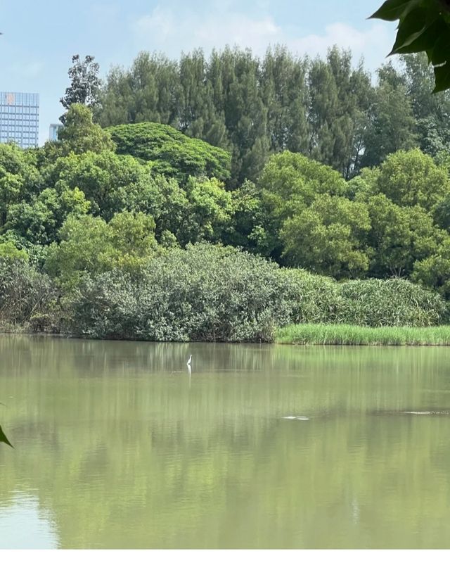 終於打卡了深圳最難約的公園！