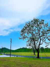 上海遛娃新去處｜上海溫室花園太美了吧