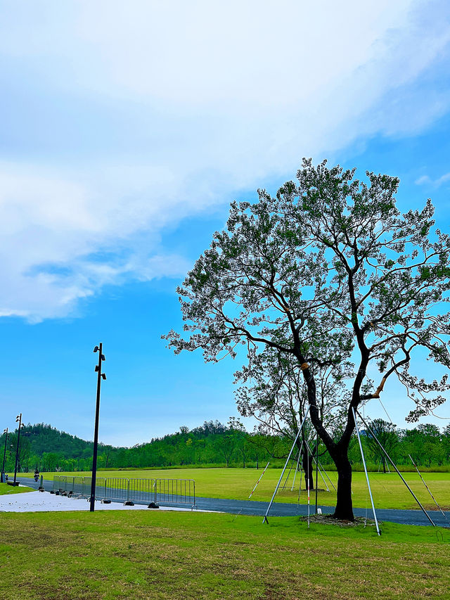 上海遛娃新去處｜上海溫室花園太美了吧