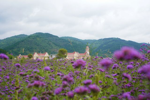 綿延起伏嘅山峰、望之無際嘅花海、清澈不絕嘅溪流、遍佈各處嘅營地民宿。呢度就係充滿浪漫詩意嘅子午花溪。