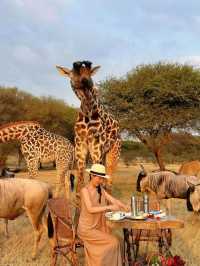 Tanzania Safari Park won my heart 🥰❤️